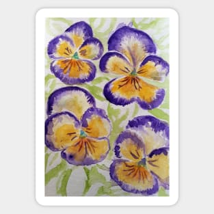 Viola Watercolor Purple Edged Yellow Floral Pattern Sticker